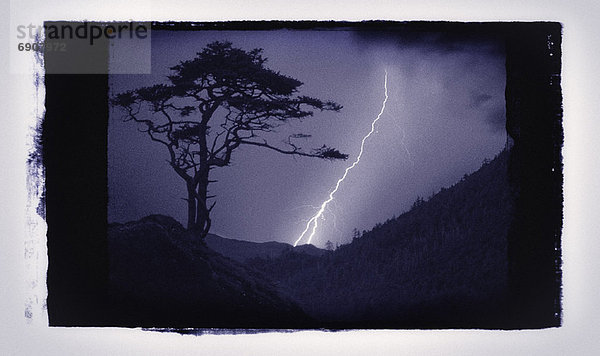 Nacht  Baum  Silhouette  British Columbia  Kanada  Blitz  Vancouver Island