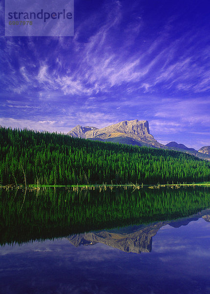 Berg  Baum  Spiegelung  See  Jasper Nationalpark  Alberta  Kanada