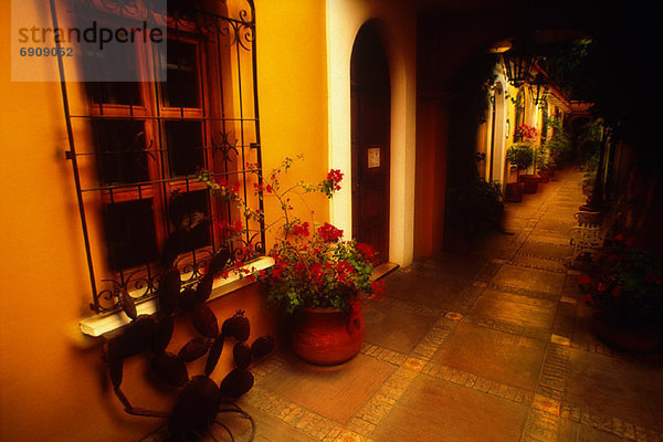 Korridor  Korridore  Flur  Flure  Fenster  Blume  Mexiko  Innenhof  Hof  Oaxaca