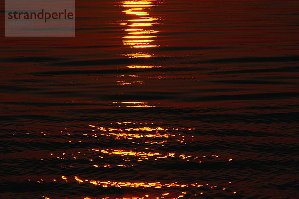 Sonnenuntergang  Ontariosee  Lake Ontario  Kanada  Ontario  Whitby