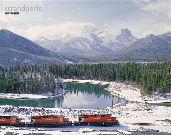 Fluss Unterricht Berg Alberta Kanada Zug