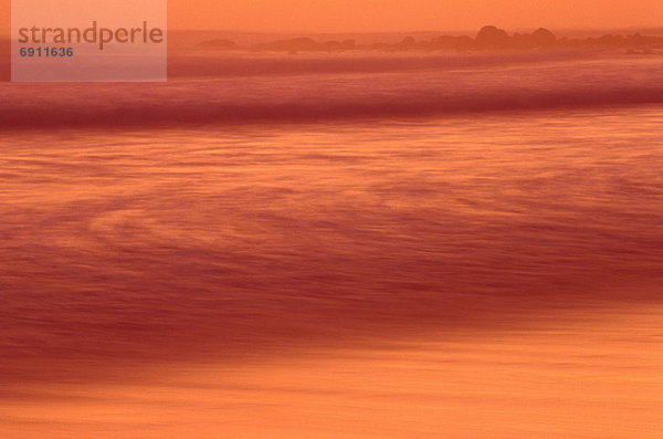 Südliches Afrika  Südafrika  Namaqualand