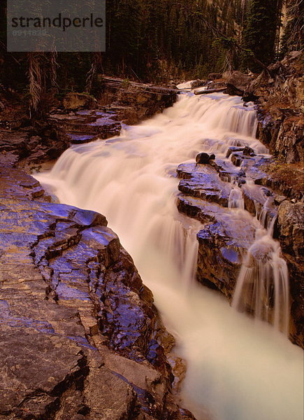 Bridal Veil Falls  Banff Nationalpark  Alberta  Kanada