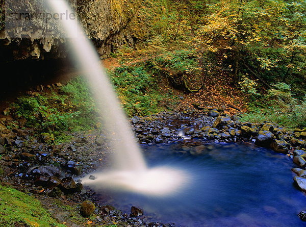 Vereinigte Staaten von Amerika  USA  Columbia River Gorge  Oregon