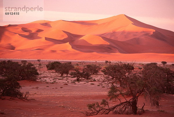 Wüste  Namibia  Sossusvlei