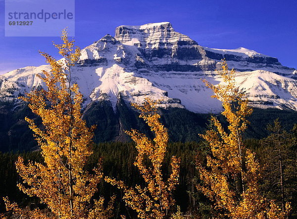 Jasper Nationalpark  Alberta  Kanada