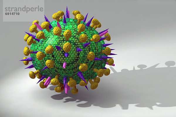 Grippe  Virus  Vogel