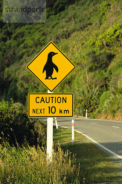 neuseeländische Südinsel  Neuseeland  Paparoa Nationalpark