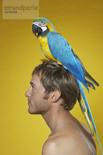 Portrait  Mann  Papagei
