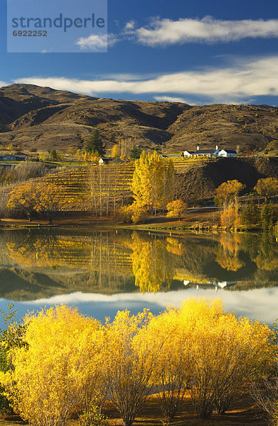 neuseeländische Südinsel  Neuseeland  Otago