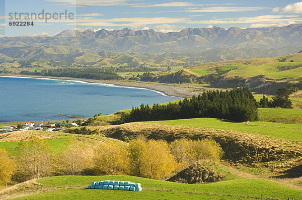 neuseeländische Südinsel  Kaikoura  Neuseeland