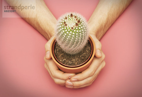 Mensch halten Kaktus