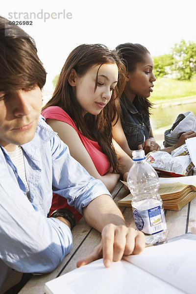 Außenaufnahme  arbeiten  Student  freie Natur