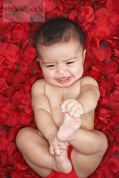 Porträt von Baby Weinen
