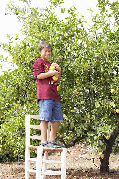 Portrait  Junge - Person  Obstgarten