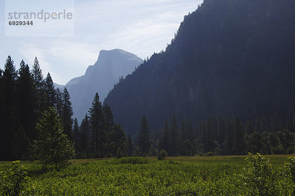 Yosemite Nationalpark  Kalifornien  USA