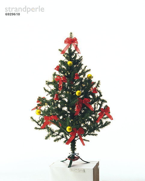 Weißer Hintergrund  Weihnachtsbaum  Tannenbaum