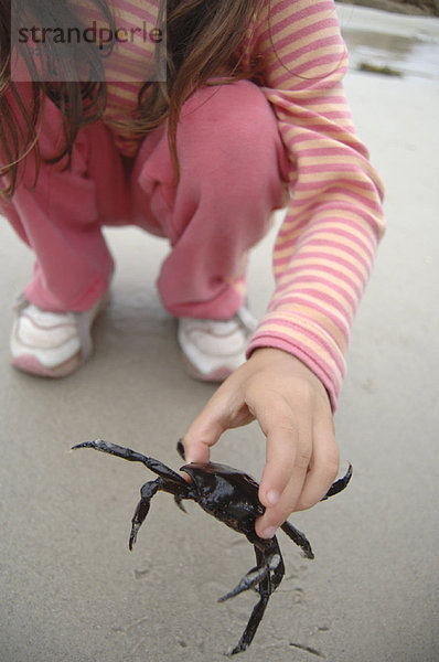halten  Krabbe  Krebs  Krebse  Mädchen