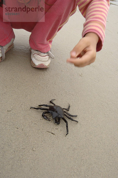 halten  Krabbe  Krebs  Krebse  Mädchen