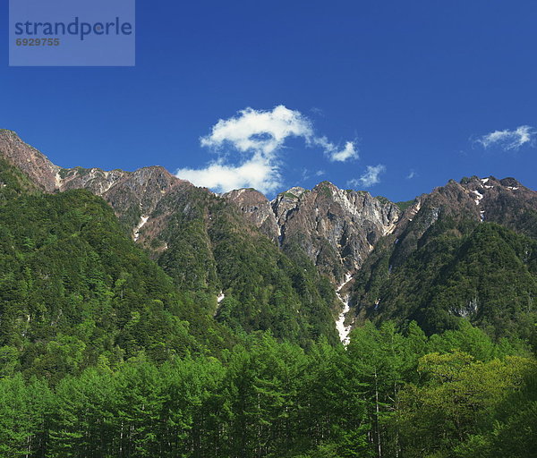 Berg  Wald  Nagano  Japan  Matsumoto