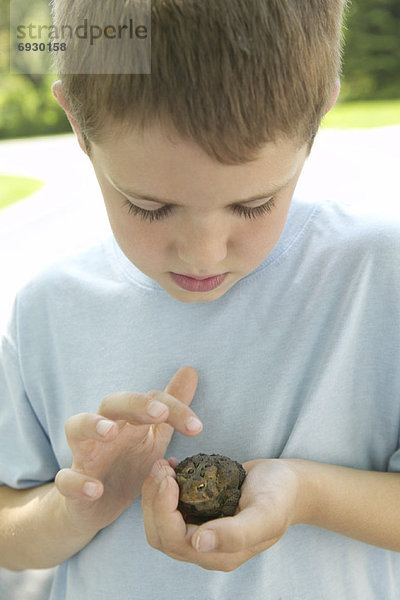 Portrait  Junge - Person  halten  Frosch