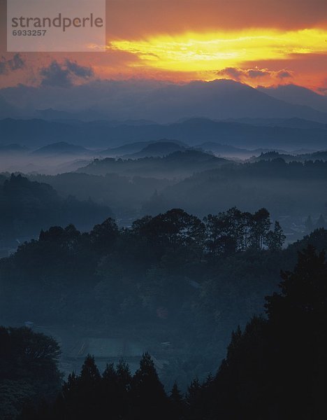 Nara  Japan