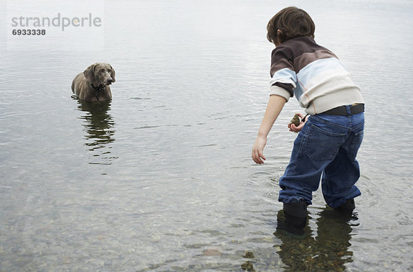 Strand  Junge - Person  Hund  spielen