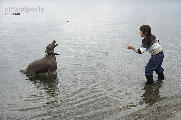 Strand  Junge - Person  Hund  spielen