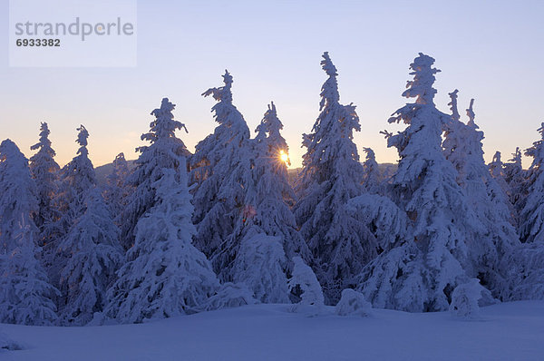 Baden-Württemberg  Schwarzwald  Deutschland