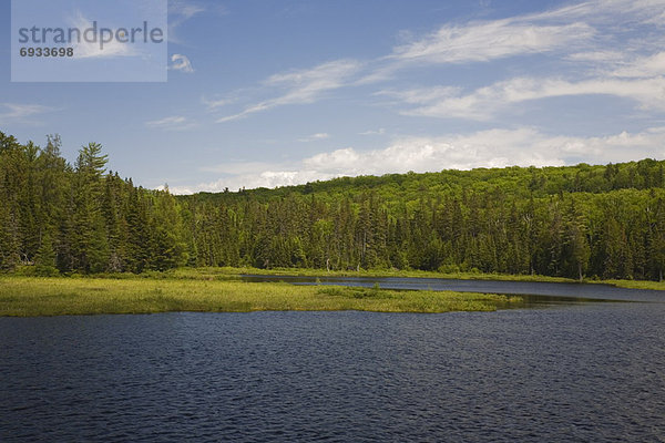 Algonquin Provincial Park  Kanada  Ontario