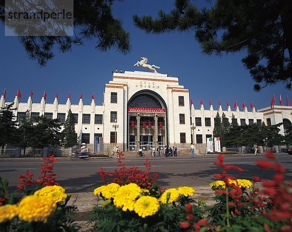 Blume  frontal  Museum  China