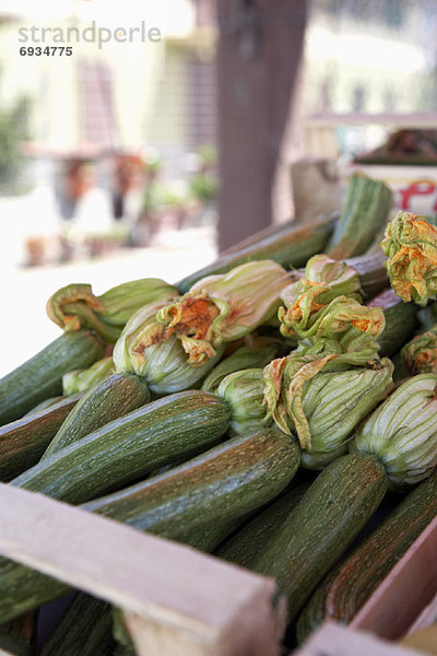 Zucchiniblüten