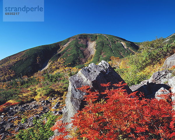 frontal  Herbst  Nagano  Laub  Japan