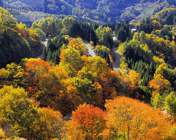 Nagano  Japan