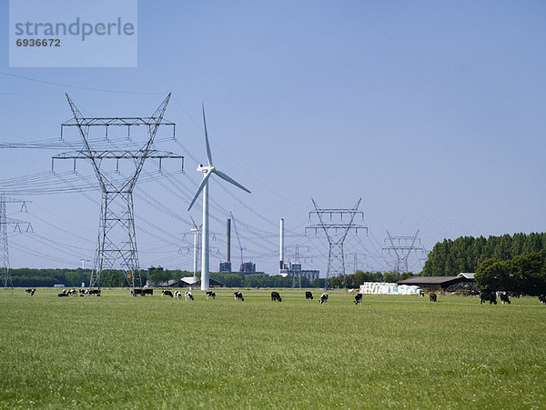 Niederlande Windpark