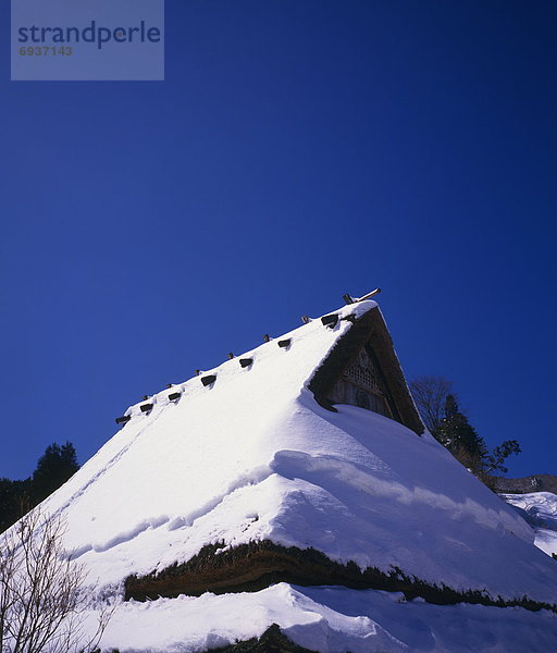 Dach Reetdach Schnee