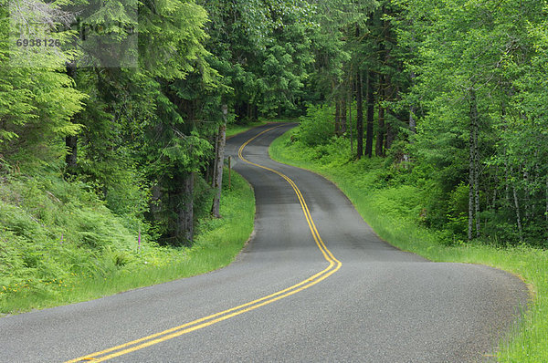 Vereinigte Staaten von Amerika  USA  Biegung  Biegungen  Kurve  Kurven  gewölbt  Bogen  gebogen  Fernverkehrsstraße  Wald  Regen  Olympic Nationalpark