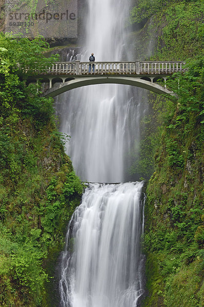 Vereinigte Staaten von Amerika  USA  Landschaftlich schön  landschaftlich reizvoll  Fluss  Zimmer  Schlucht  Multnomah Falls  Oregon