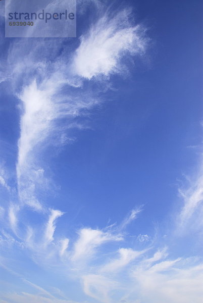 Bewölkung blau Himmel