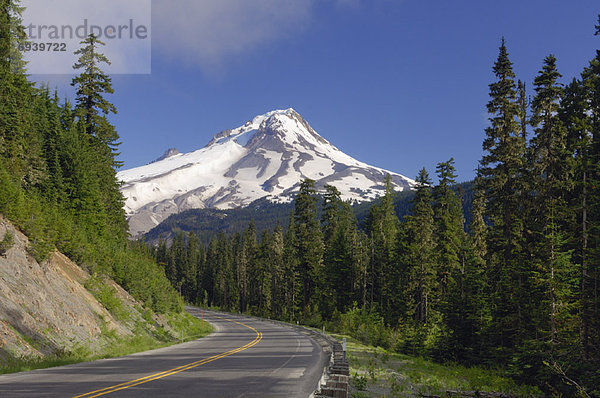 Vereinigte Staaten von Amerika  USA  Fernverkehrsstraße  Wald  Berg  Kapuze  Oregon