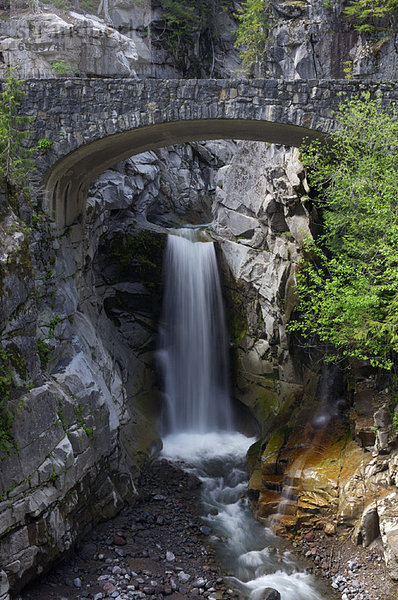 Vereinigte Staaten von Amerika  USA  Mount Rainier Nationalpark