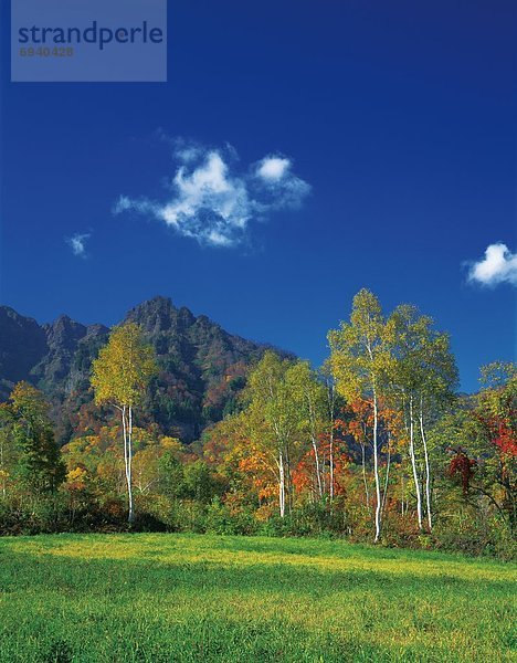 Herbst  Nagano  Japan