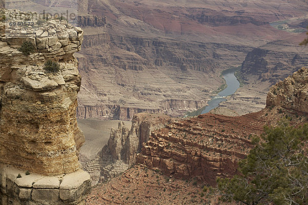Grand Canyon  Arizona  USA