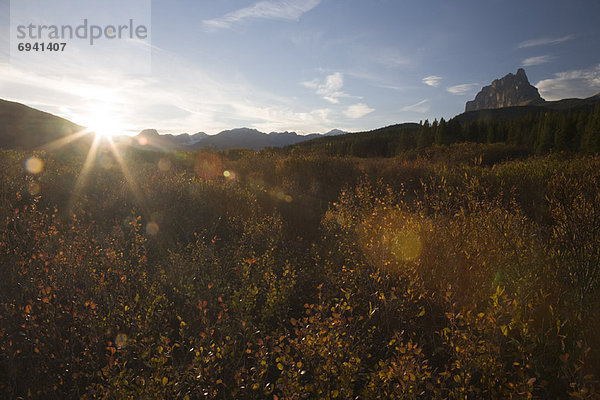 Banff Nationalpark  Alberta  Kanada