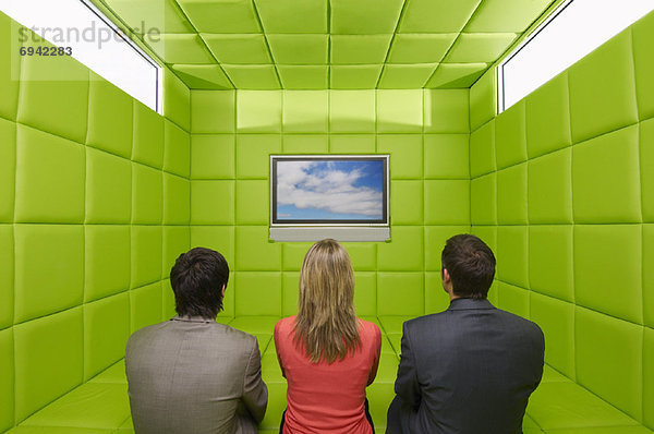 Mensch sehen Menschen Zimmer grün Fernsehen wattiert