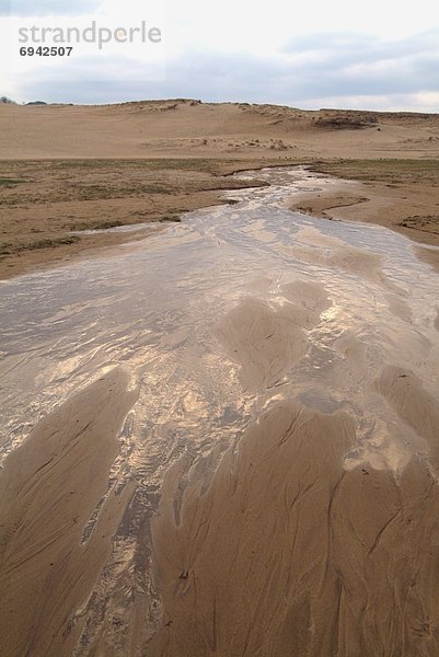Wasser  Sand  Düne