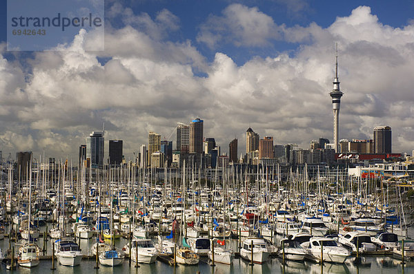 Westhaven Marina  Auckland  Nordinsel  Neuseeland