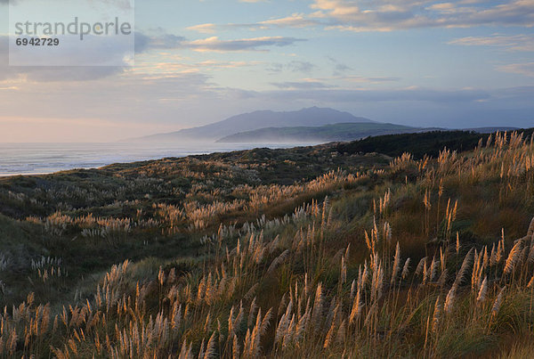 Landschaft  neuseeländische Nordinsel  Neuseeland