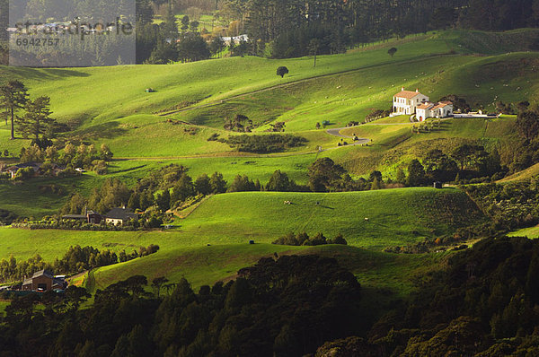 Agrarland neuseeländische Nordinsel Neuseeland