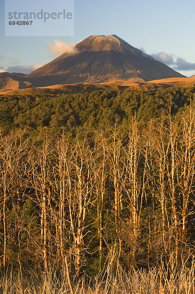 neuseeländische Nordinsel  Mount Ngauruhoe  Tongariro Nationalpark  Neuseeland